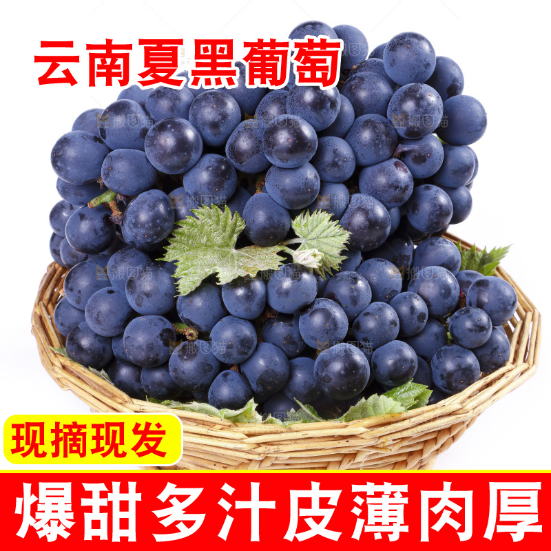 篮子里装着夏黑葡萄