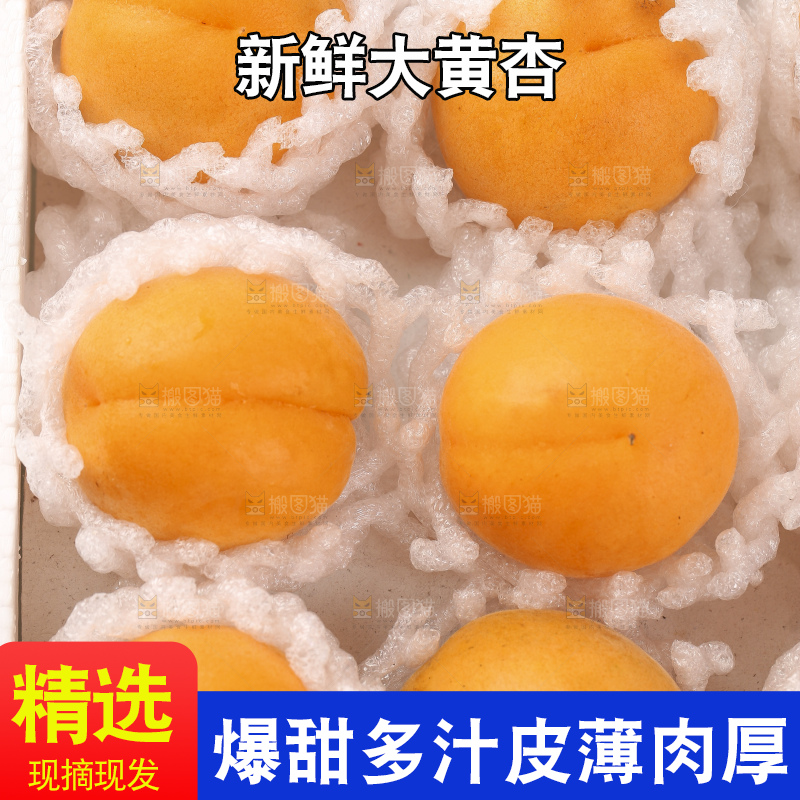 整齐摆放着的大黄杏