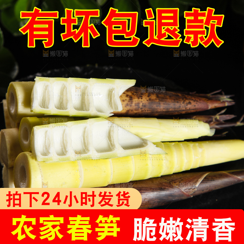 深底上摆放着雷竹笋