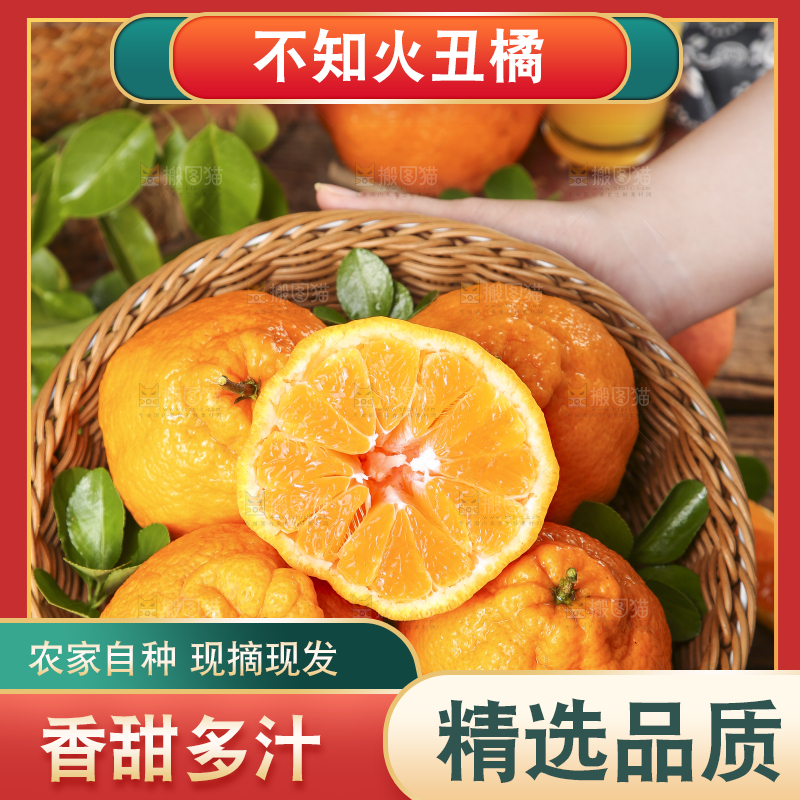 篮子里装着四川不知火丑橘