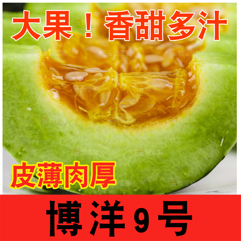 盘子里装着博洋香瓜