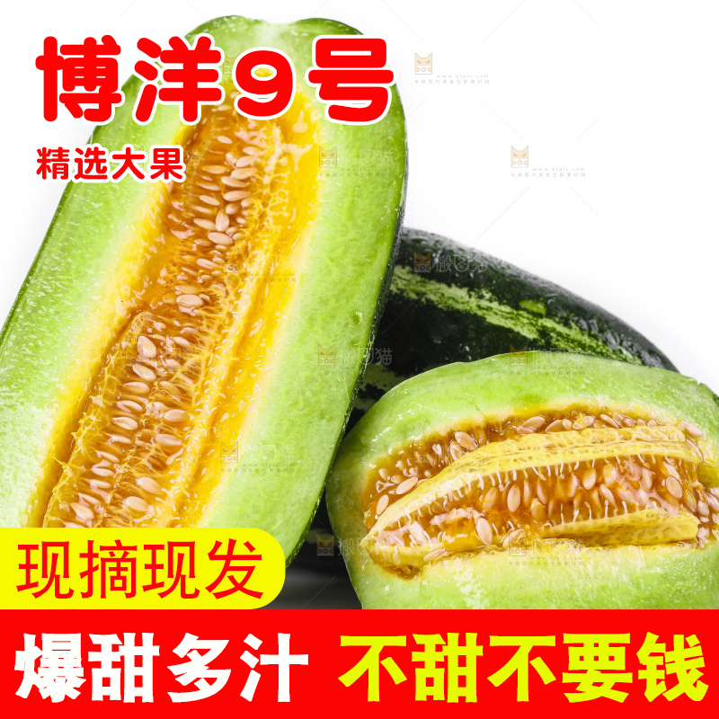 白底上放着博洋甜瓜