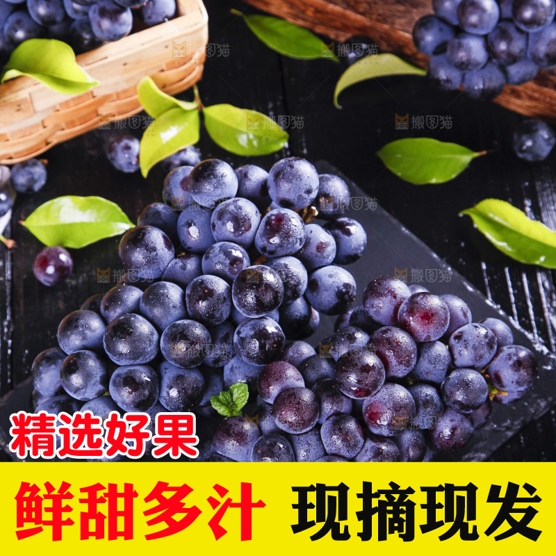 黑底上摆放着云南夏黑葡萄