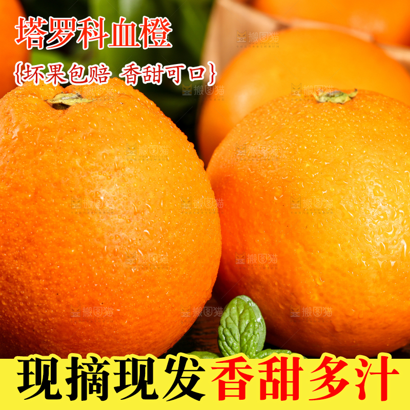 黑底上放着长寿塔罗科血橙