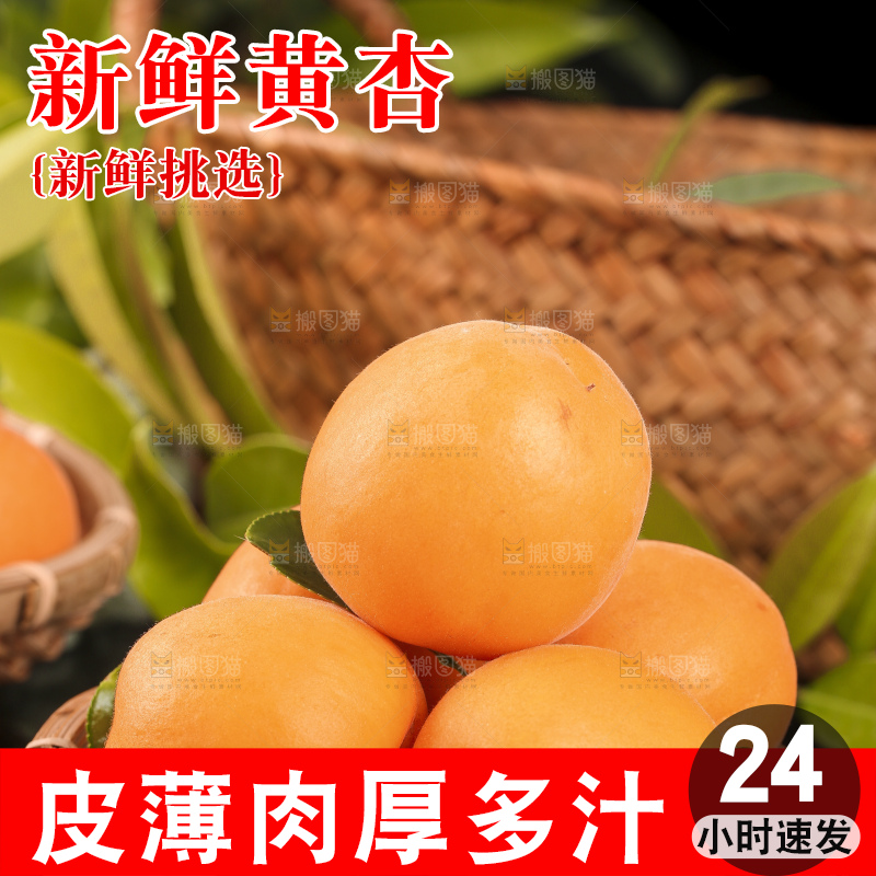 篮子里装着烟台杏子