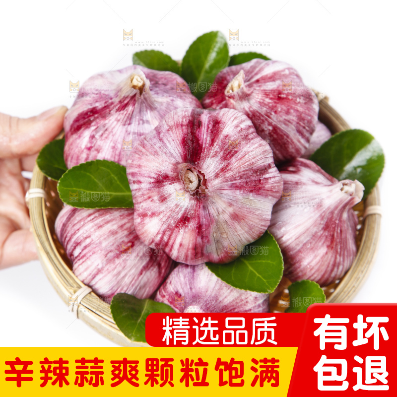 篮子里装着云南紫皮多瓣蒜