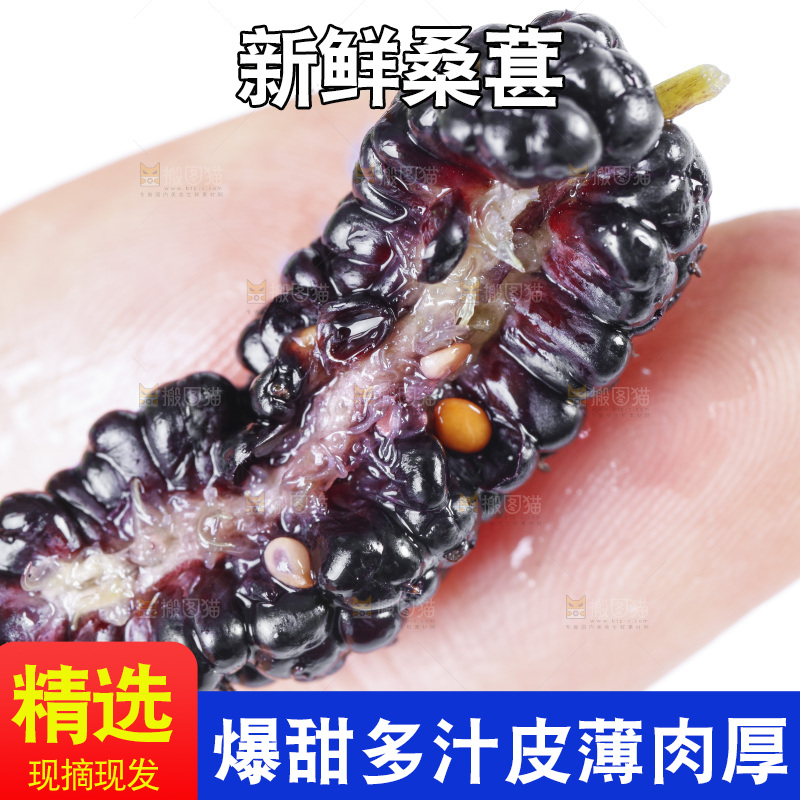 手里拿着桑葚子