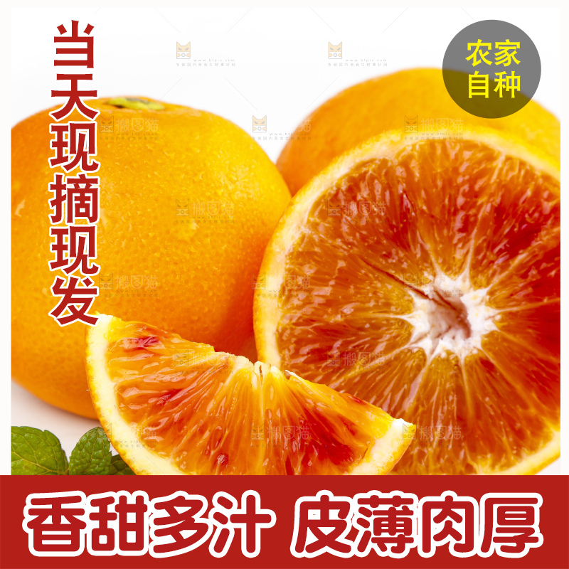 白底上摆放着血橙