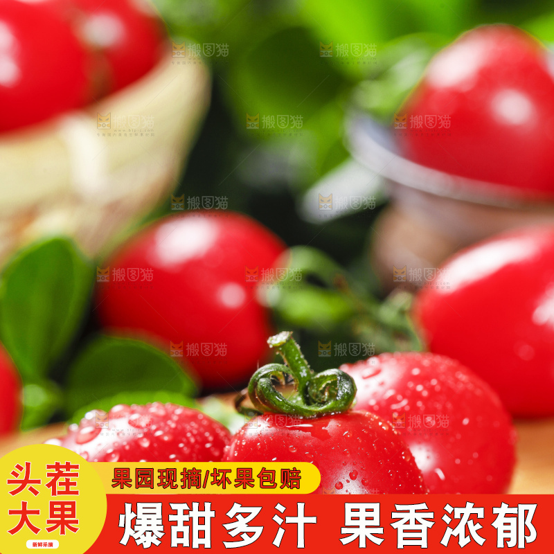 木底上摆放着新鲜圣女果