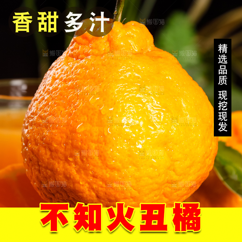 深底上放着不知火丑橘