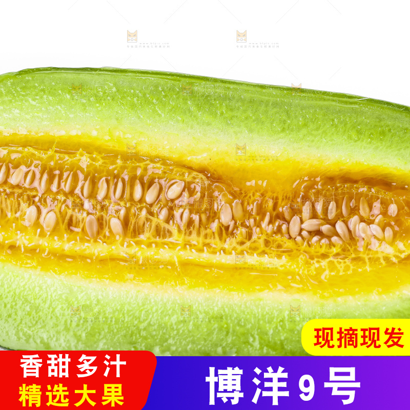 白底上摆放着博洋香瓜