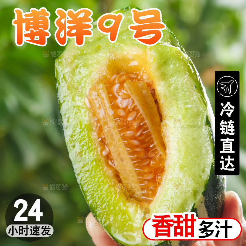 手里拿着博洋甜瓜