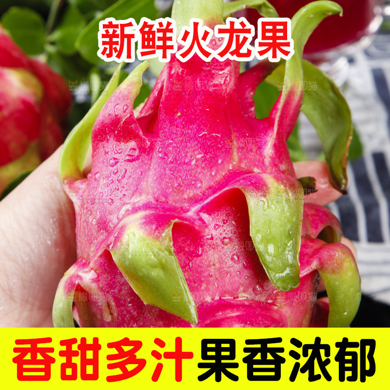 手里拿着火龙果
