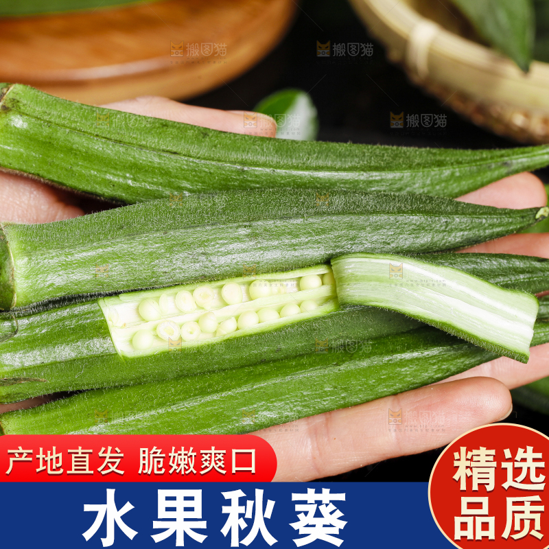 手里拿着秋葵