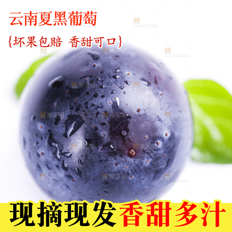 白底上放着夏黑葡萄
