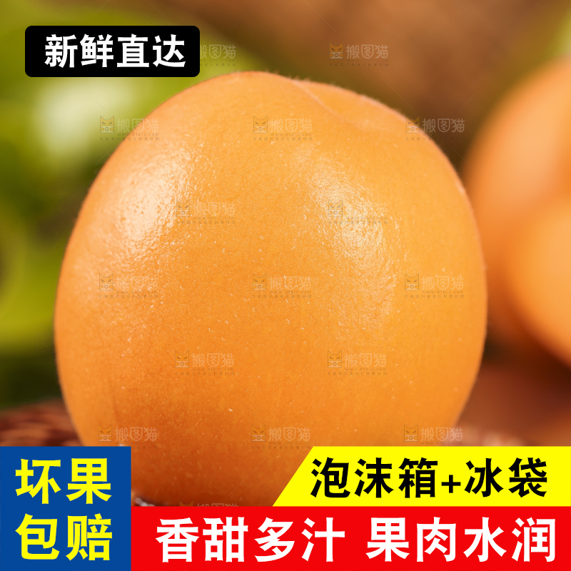 黑底上摆放着大黄杏