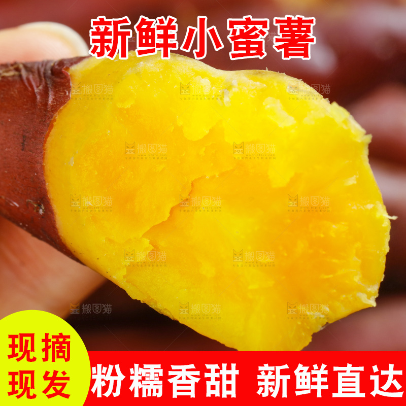 手里拿着天目山小香薯