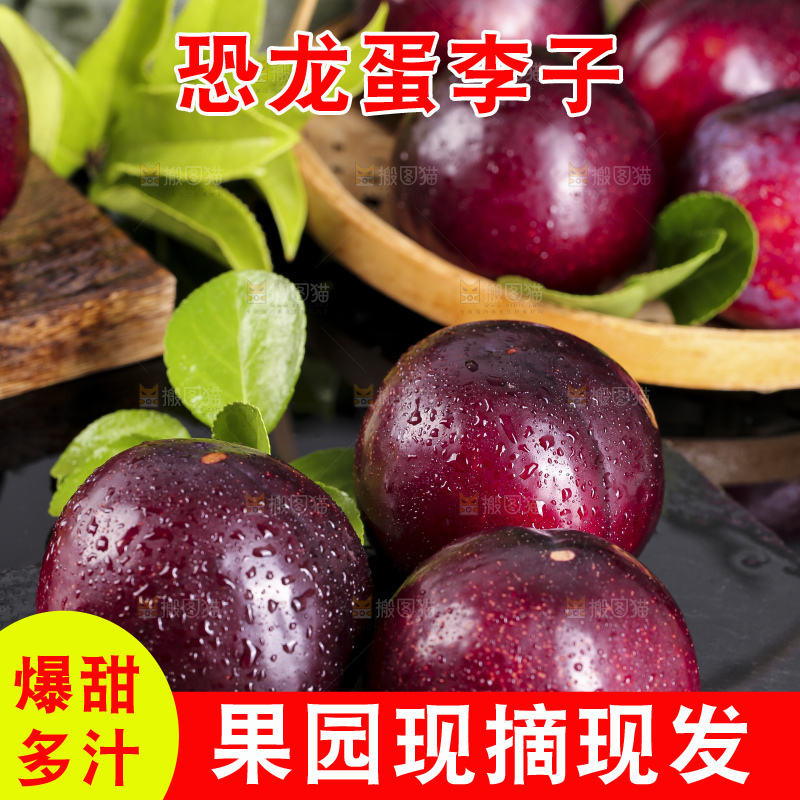 黑底上摆放着恐龙蛋李