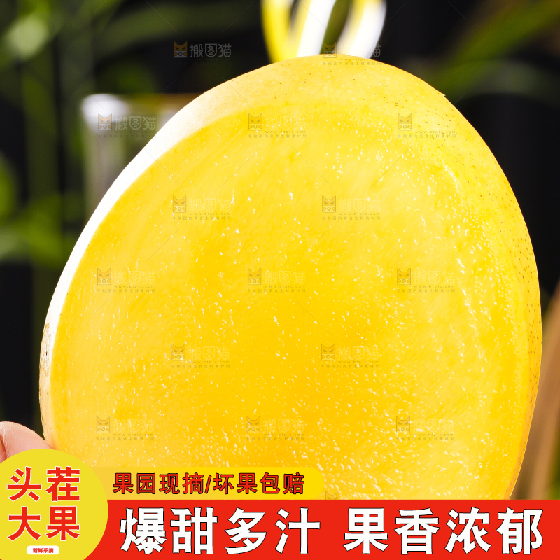 手里拿着甜心芒