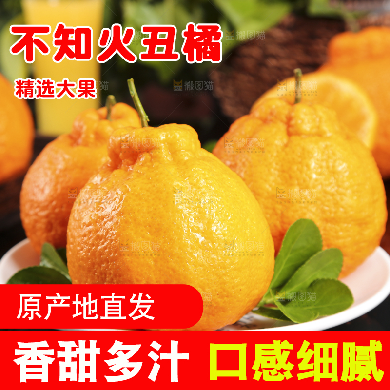 盘子里装着丑八怪橘子