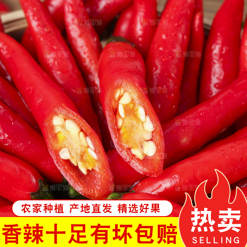 篮子里装着广西小米椒