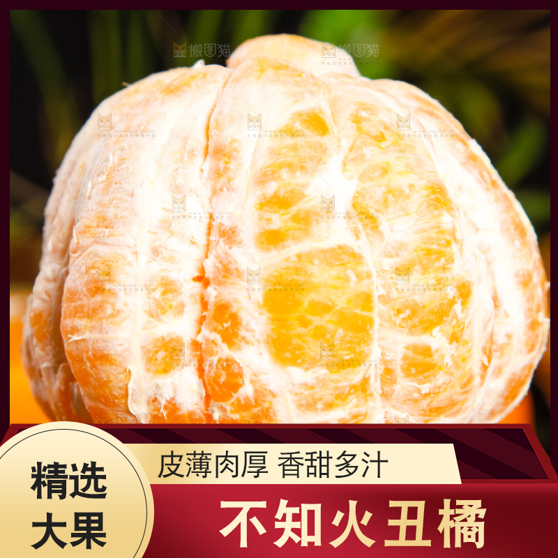 手里拿着新鲜丑橘