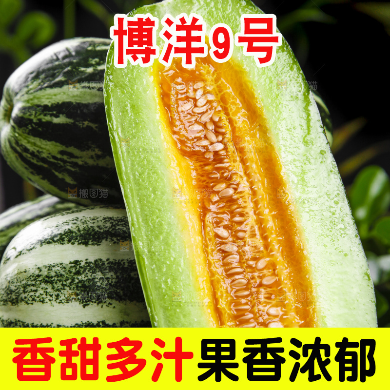 黑底上放着博洋甜瓜