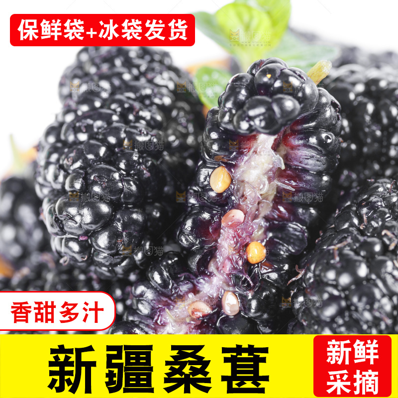 堆放着一堆的野生桑枣