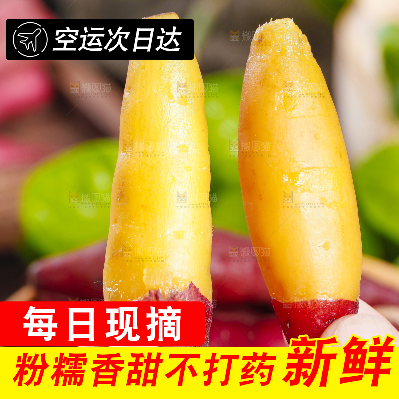 手里拿着小蜜薯