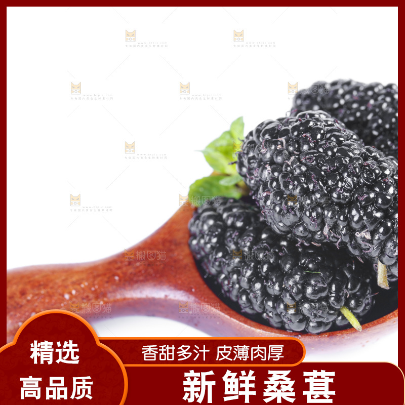 勺子上放着桑葚