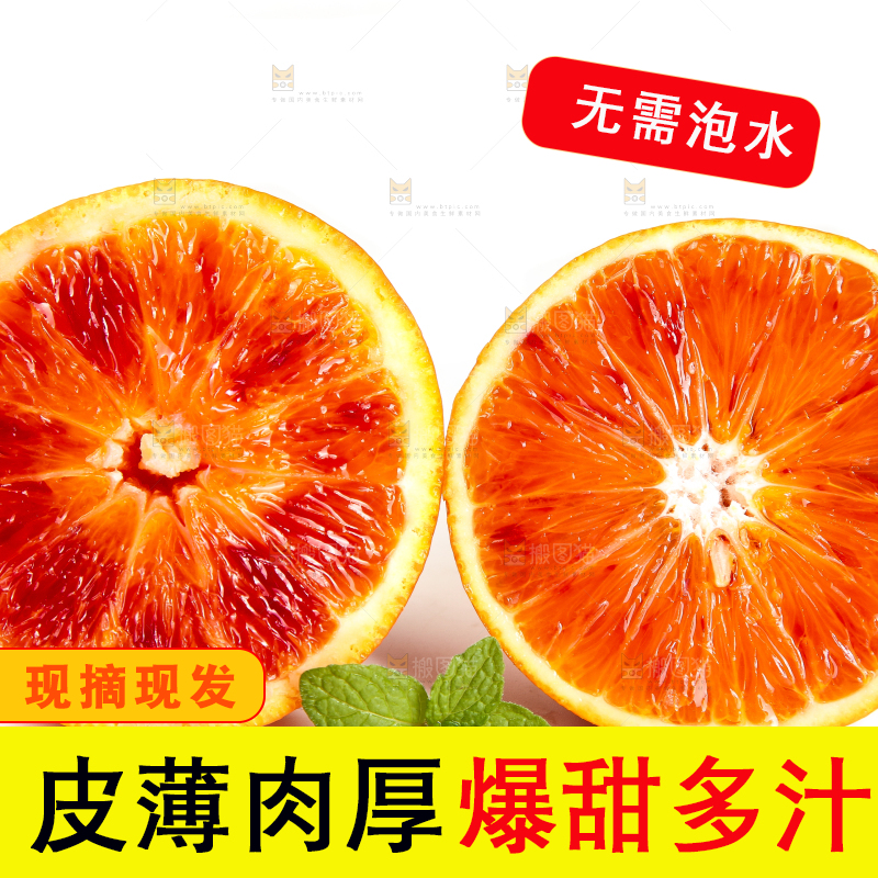 白底上的玫瑰血橙