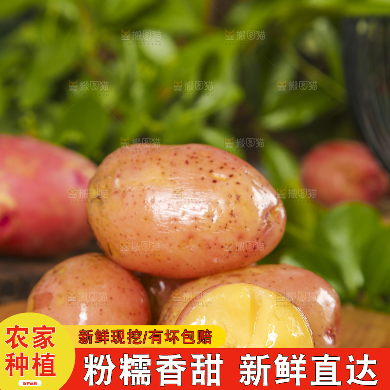 木底上放着红皮土豆