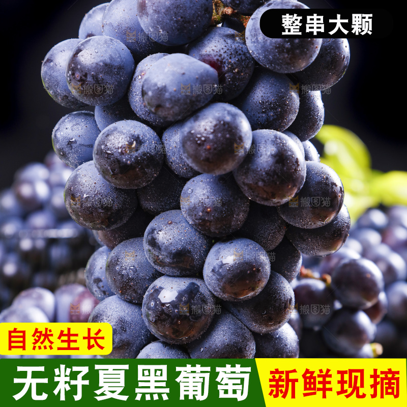 手里拿着夏黑无籽葡萄