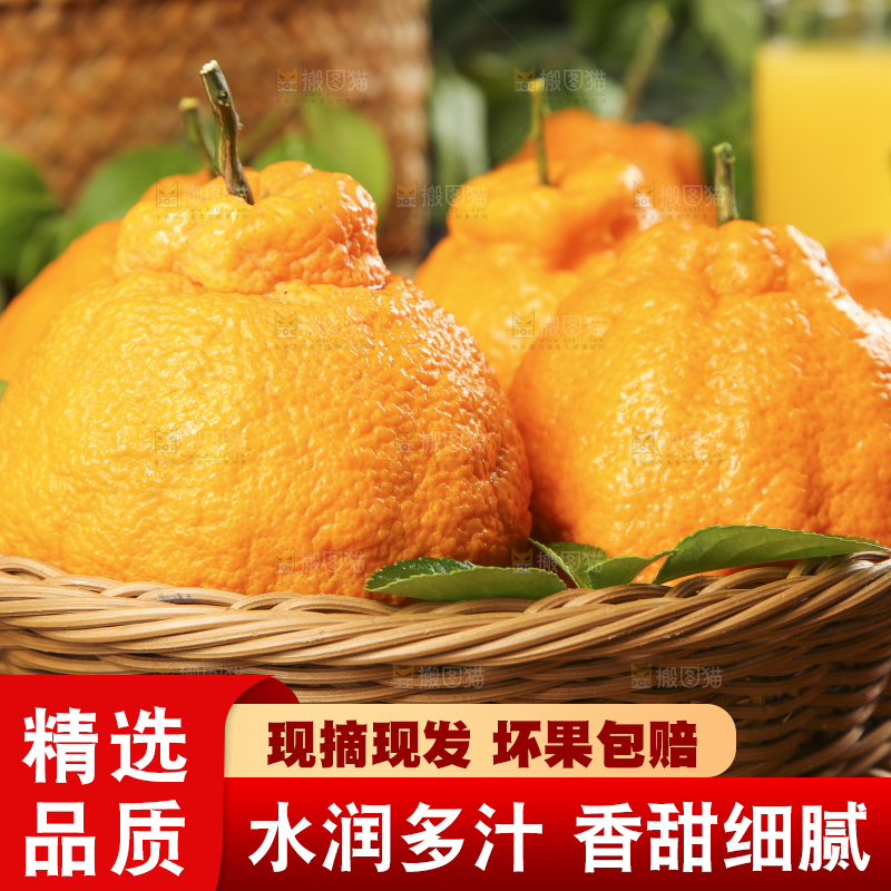 篮子里装着四川不知火丑橘