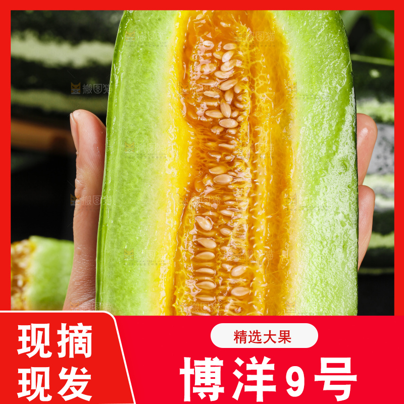 手里拿着花皮甜瓜