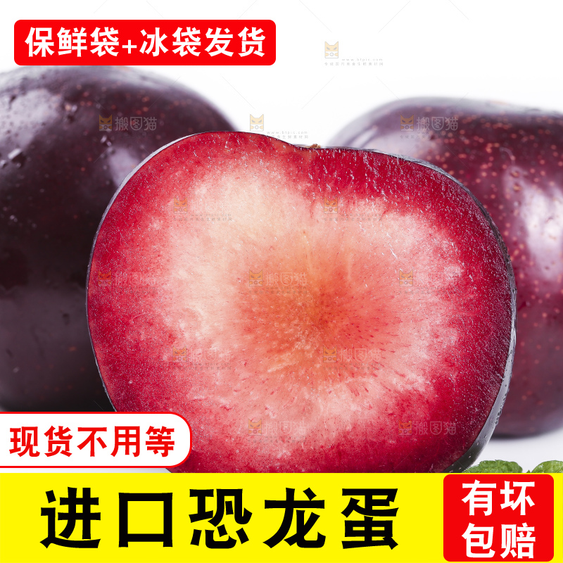 白底上摆放着恐龙蛋