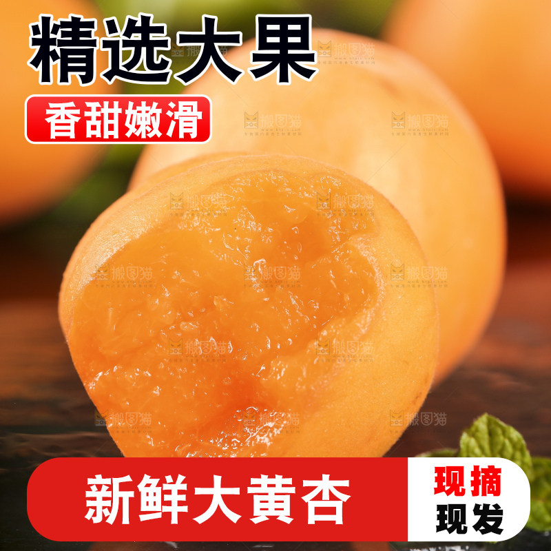 黑底上摆放着陕西大黄杏