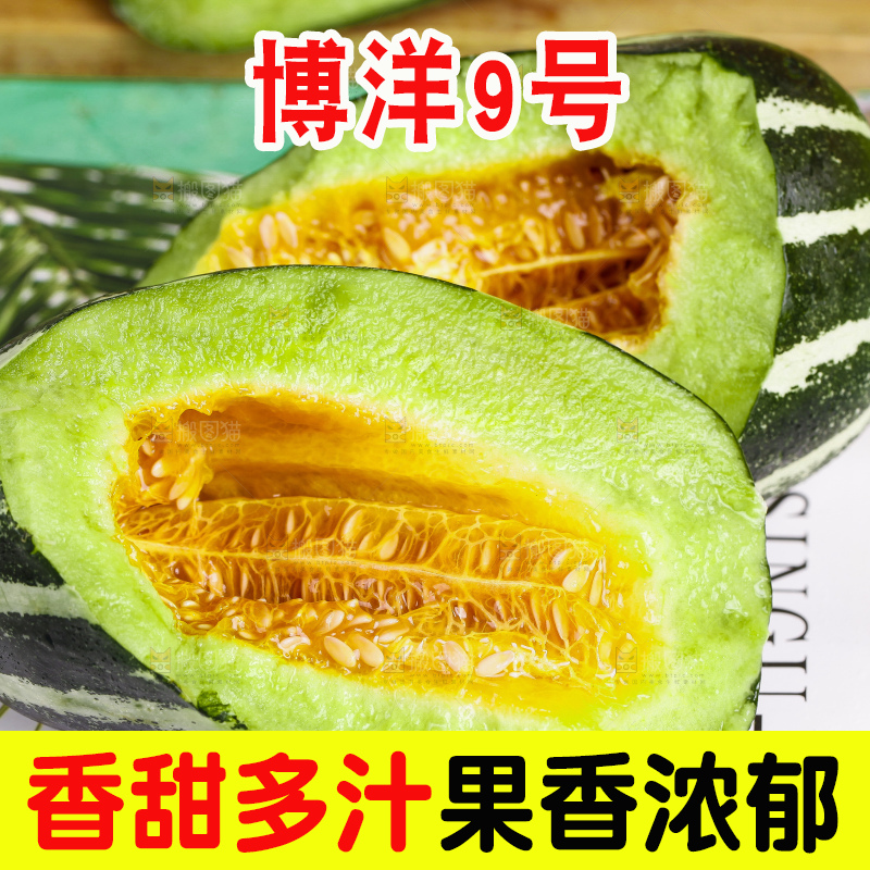 浅底上放着博洋香瓜