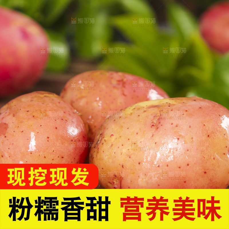 木底上放着红皮土豆
