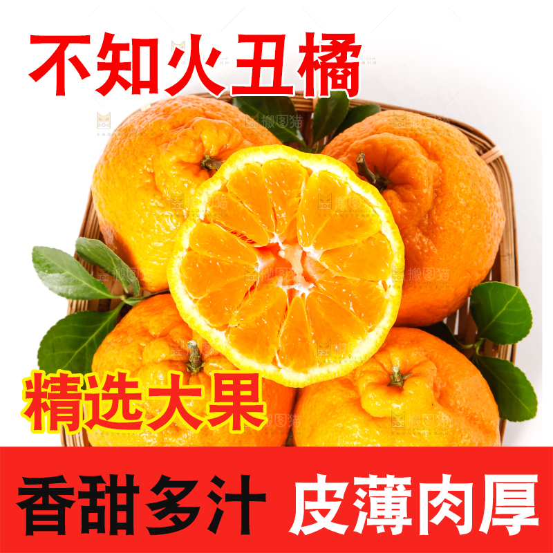 篮子里装着不知火柑橘