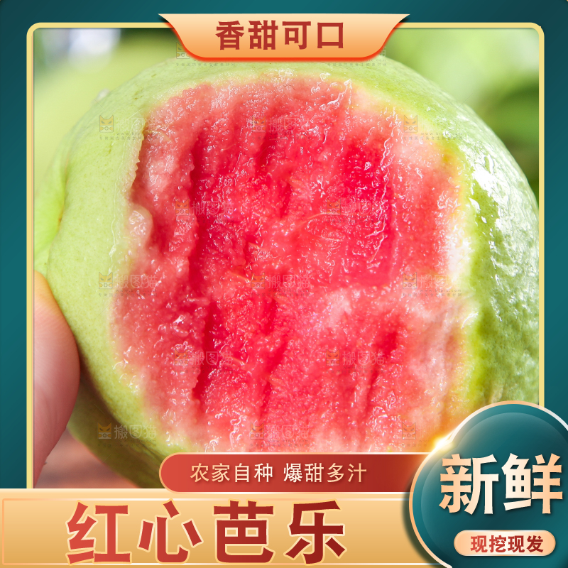 手里拿着红心芭乐