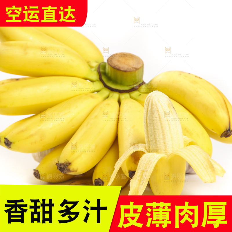 白底上摆放着新鲜小米蕉