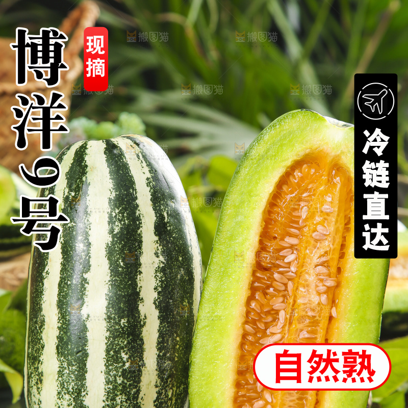 黑底上摆放着博洋香瓜