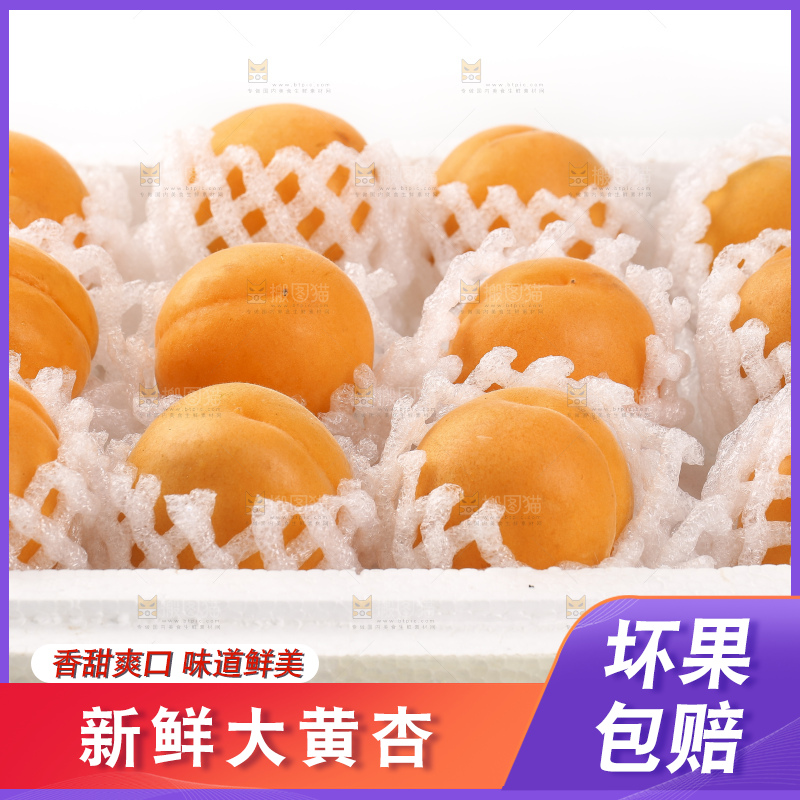 整齐摆放着的大黄杏
