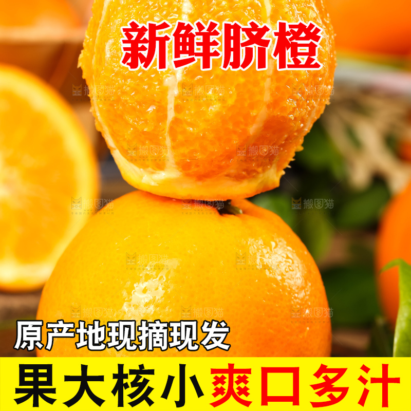 深底上摆放着赣南伦晚脐橙