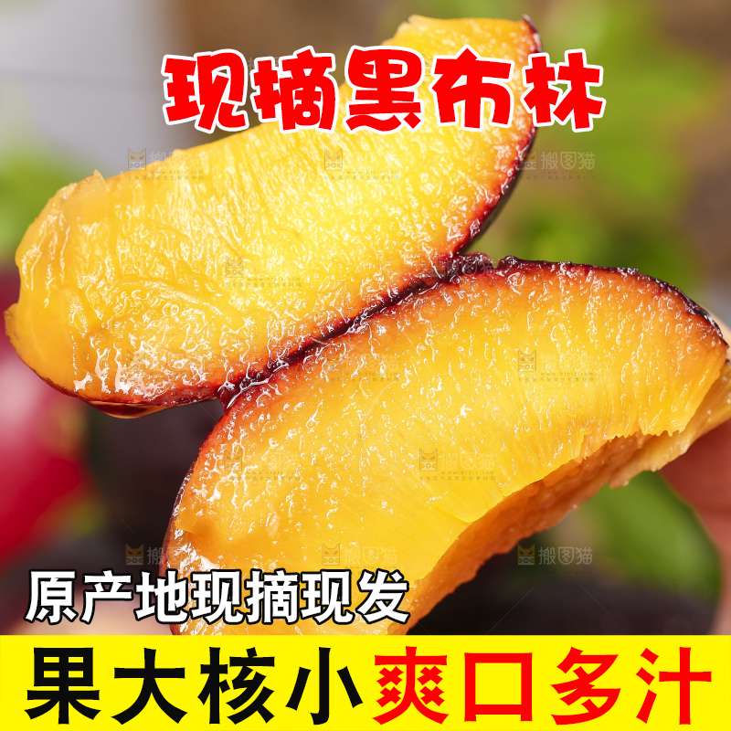 手里拿着黄肉黑布李