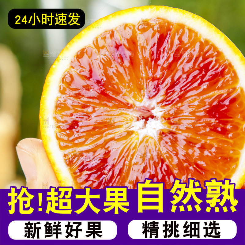 手里拿着塔罗科血橙