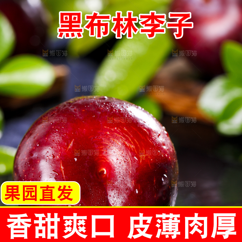 黑底上摆放着智利黑布林李子