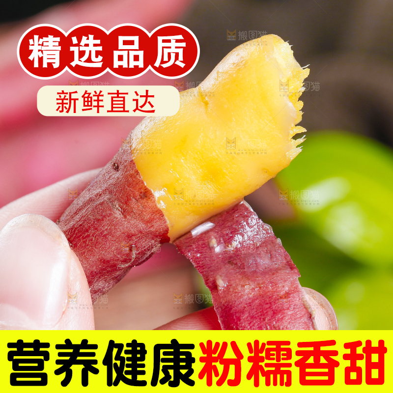 手里拿着板栗蜜薯