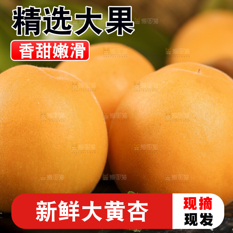 黑底上摆放着头茬大黄杏